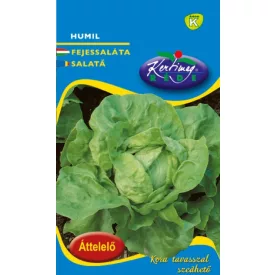 Humil téli vajfej saláta vetőmag, 50 g