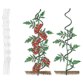 Paradicsomkaró, 6 mm 1,5 m, Zn