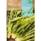 Salátapitypang vetőmag, 10 g