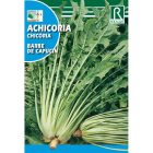 Salátapitypang vetőmag, 10 g