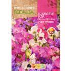 Szagosbükköny vetőmag, magas