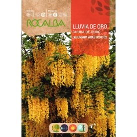 Aranyeső (Zanót) vetőmag