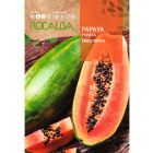 Dinnyefa (Papaya) vetőmag