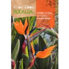 Pompás papagájvirág vetőmag
