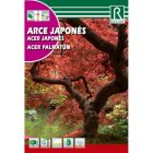 Japán juhar vetőmag