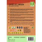 Oregoni hamis ciprus vetőmag