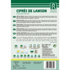 Oregoni hamis ciprus vetőmag