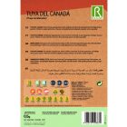 Nyugati tuja vetőmag