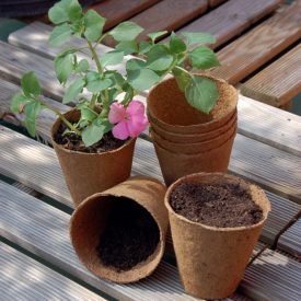 Nortene Growing Pots tőzegcserép, 6 cm, 24 db