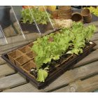 Nortene Growing Kit mini üvegház szett, 28 hely, 5 x 5 cm