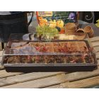 Nortene Growing Kit mini üvegház szett, 28 hely, 5 x 5 cm