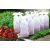 Tomatex paradicsom takaró szövet, 0,6 m x 10 m