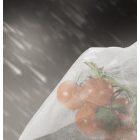 Tomatex paradicsom takaró szövet, 0,6 m x 10 m