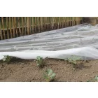 Biocontrol növénytakaró háló rovarok, kártevők ellen