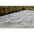 Biocontrol növénytakaró háló rovarok, kártevők ellen