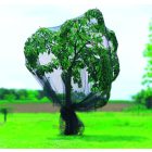 Pronet hurkolt védőháló, 5 m x 6 m, zöld