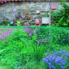 Square műanyag kertirács, 1 m x 5 m, zöld  