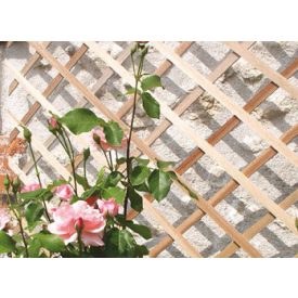 Trelliwood fa térelválasztó, apácarács, 1 x 2 m  Trelliwood fa térelválasztó, apácarács, 1 x 2 m