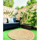 Trelliwood fa térelválasztó, apácarács, 1 x 2 m 