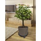 Flora Roll Art Deco gurulós virágalátét