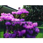 Square műanyag kertirács, 1 m x 5 m, zöld