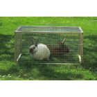 Fensanet 19 ponthegesztett drótháló, 0,5 m x 5 m