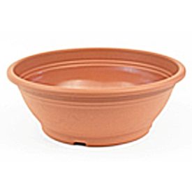 Ras virágtál, 25 cm, vörös