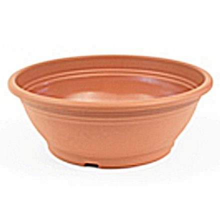 Ras virágtál, 25 cm, vörös