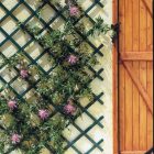 Trelliflex műanyag nyitható apácarács, 0,5 x 1,5 m, zöld 