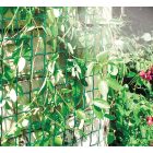 Climbanet K-50/45 kerti rács, 0,5 m, zöld