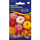 Kaktuszvirágú rézvirág vetőmag, színkeverék