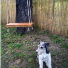 Bamboocane hasított bambuszfonat, 1 m x 5 m