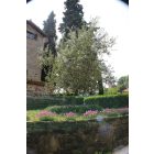 Square műanyag kertirács, 0,5 m x 5 m, zöld 