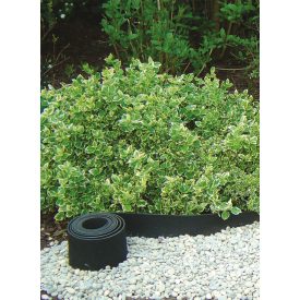 Selfix Bordura ágyásszegély