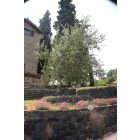 Square műanyag kertirács, 0,5 x 5 m antracit