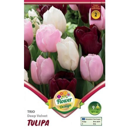 Trio Deep Velvet tulipán virághagyma keverék