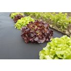 Microtex talajtakaró, 1,4 x 5 m, fekete