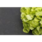 Microtex talajtakaró, 1,4 x 5 m, fekete