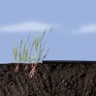 Anti-Herbas Geotex talajtakaró, 1,6 m x 10 m, barna