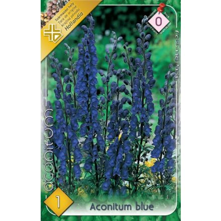Sisakvirág (Aconitum) virághagyma