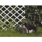 Trelliflex műanyag nyitható apácarács, 1 x 2 m, fehér 