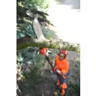 Kasei QJB270 teleszkópos ágvágó 