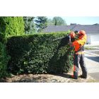 Kasei SLP500 sövényvágó 