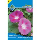 Bíboros hajnalka vetőmag, színkeverék