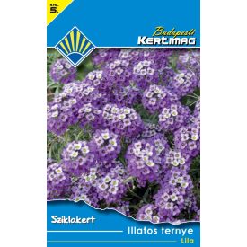 Illatos ternye vetőmag, lila