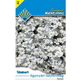 Egynyári fátyolvirág vetőmag