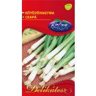 Parade kötözőhagyma vetőmag, 0,4 g