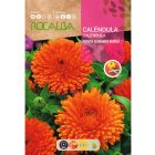 Körömvirág vetőmag, narancs, 10 g