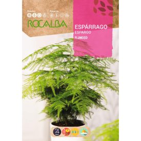 Tollasfű (Aszparágusz) vetőmag - újra kapható!