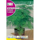 Tollasfű (Aszparágusz) vetőmag - újra kapható!